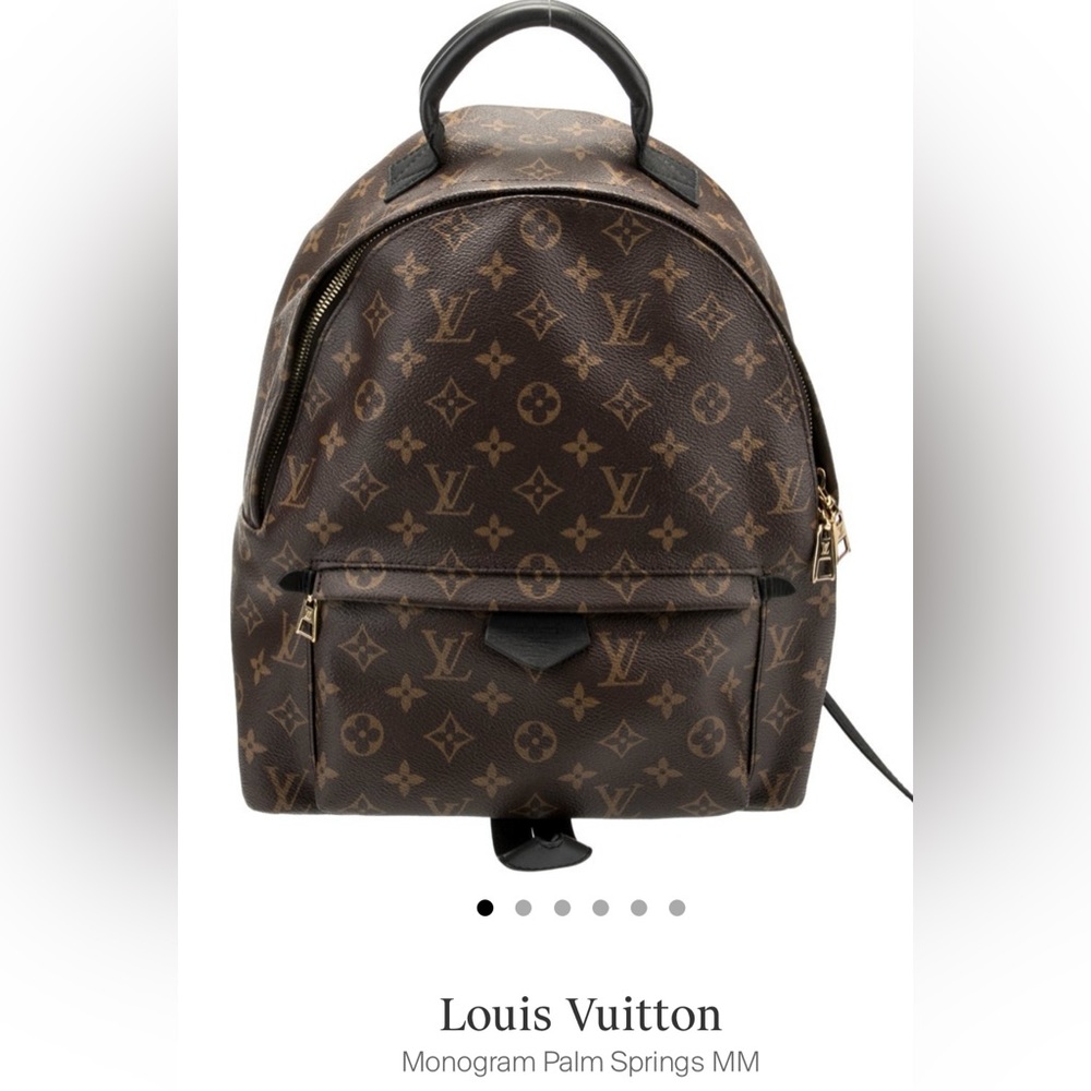 Louis Vuitton Monogram Palm Springs MM